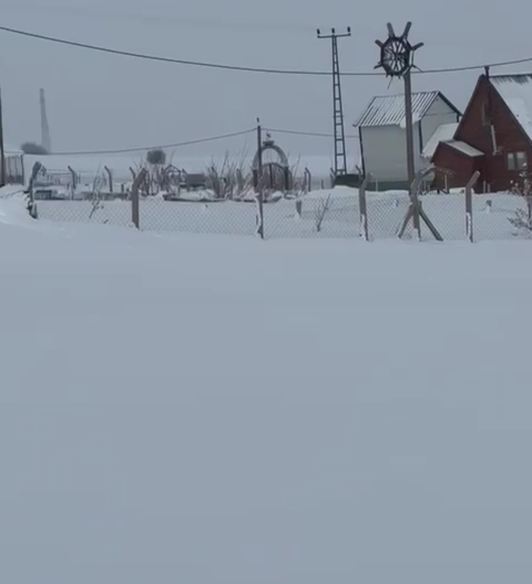 Hobi Bahçelerindeki Hayvanlar Soğuktan Kurtarıldı